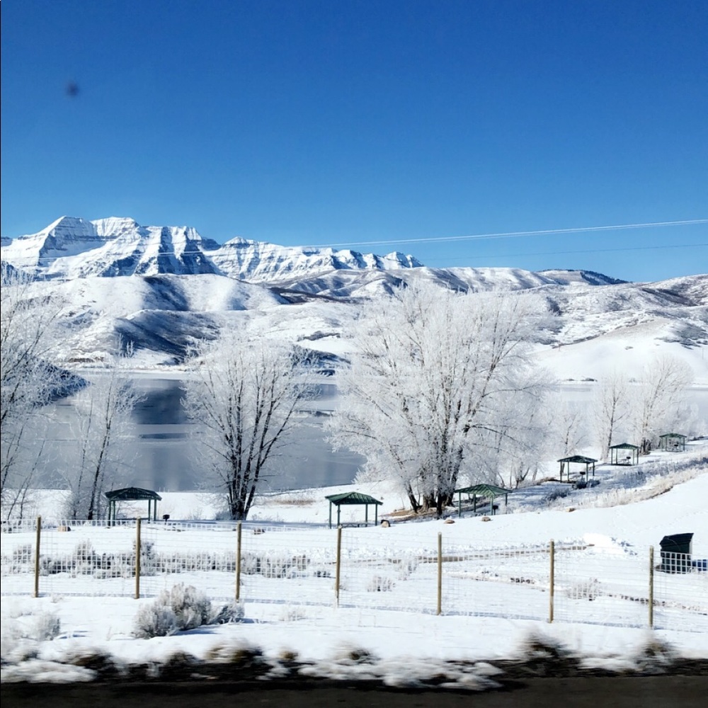 FREE MONEY! Click on link